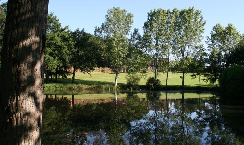 Domaine De Vilotte Bed and Breakfast Ardenais Zewnętrze zdjęcie